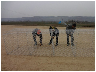 �\�X�Ͻ�W��