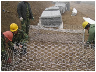 ���e�W�Y��