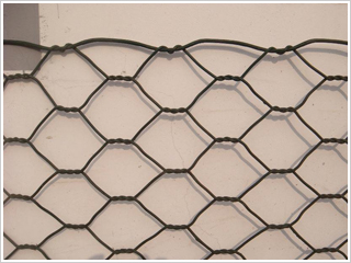 ���eʯ�\��B